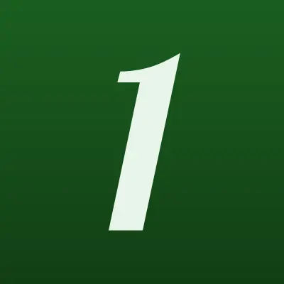 1st Media Invest, холдинг интернет СМИ, лого-визитка
