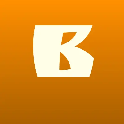 БФК Аудит, компания, лого-визитка