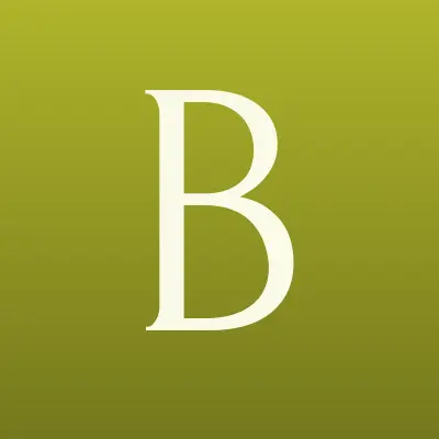Bargain-RF, оптово-розничный магазин электротранспорта, лого-визитка