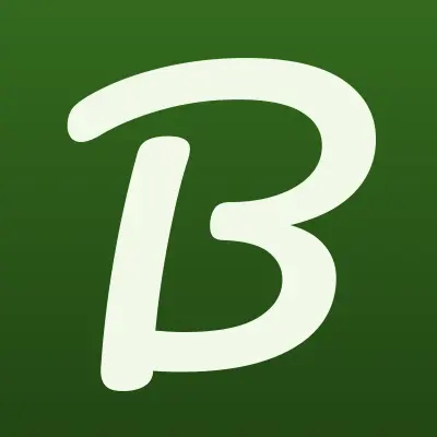 Best-tyres.ru, компания по продаже и установке шин и дисков, лого-визитка