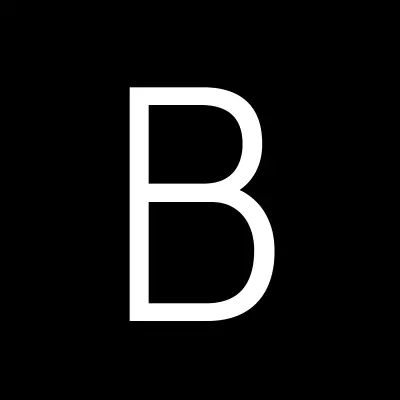Bestradiotoys, интернет-магазин радиоуправляемых игрушек, лого-визитка