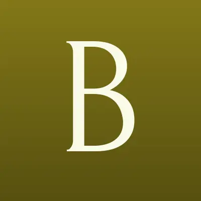 BetBoom, сеть букмекерских контор, лого-визитка