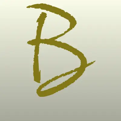 BetBoom, сеть букмекерских контор, лого-визитка