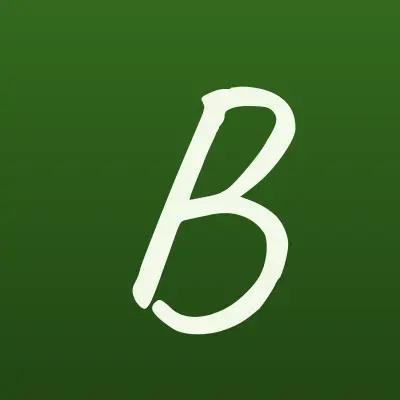 BetBoom, сеть букмекерских контор, лого-визитка