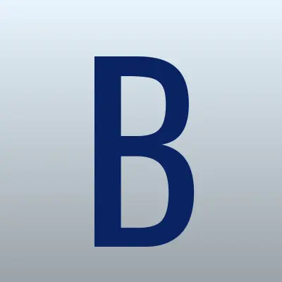 БизнесСтройКонсалт, компания, лого-визитка