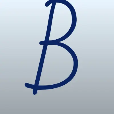 Blitz Broker, лого-визитка