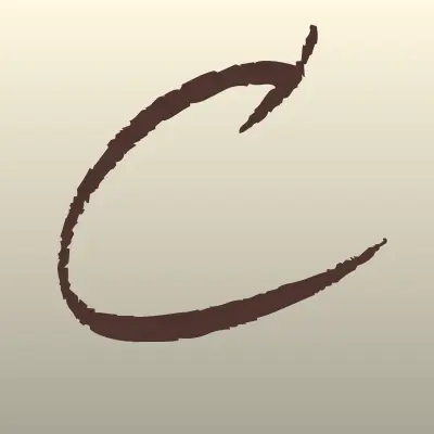 Copterdrone, интернет-магазин, лого-визитка