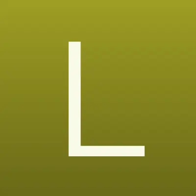 Larvij International, производственная компания, лого-визитка