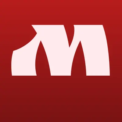 МАСТЕРОВИТ, торгово-монтажная компания, лого-визитка