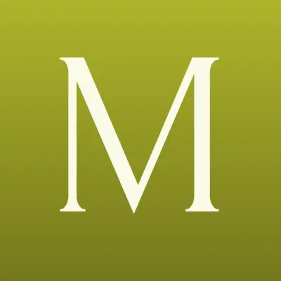 Магазин электротоваров, ИП Шокин М.Е., лого-визитка