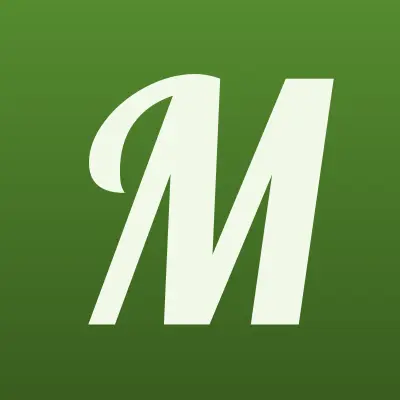 Метеор, стадион, лого-визитка