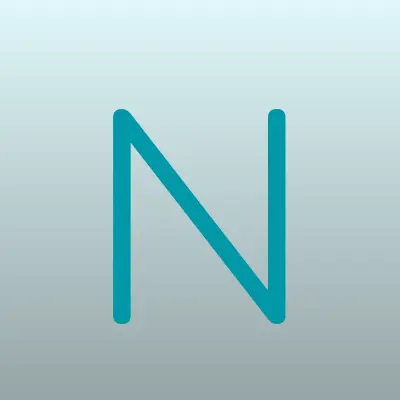 NSG, компания по производству сетевого оборудования, лого-визитка