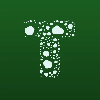 Тайсу ТБ, лого-визитка