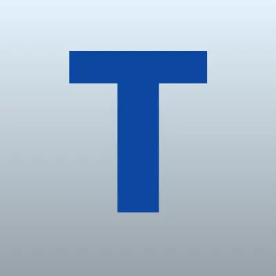 Тим Транс, лого-визитка