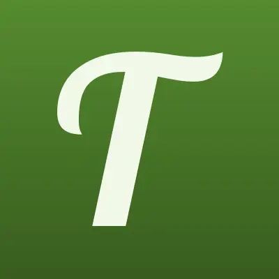 ТопПро, интернет-магазин, лого-визитка