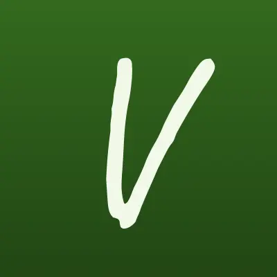 Vianor, сеть шинных центров, лого-визитка