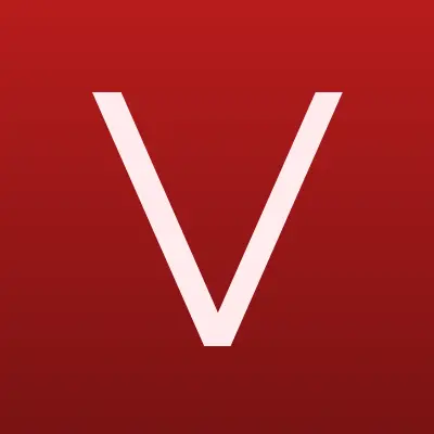VidaVision, компания, лого-визитка