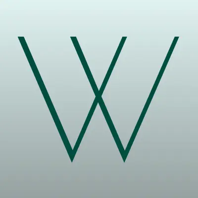 WokiSan, магазин, лого-визитка