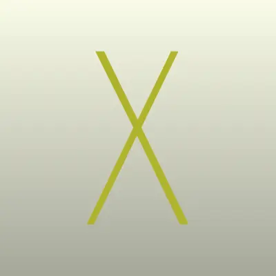 Xan Detailing, лого-визитка