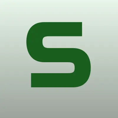SSAuto , лого-визитка