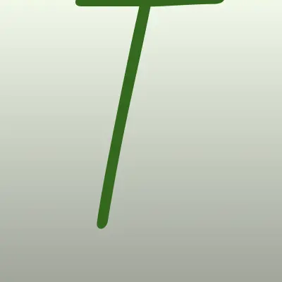 ТвояПрачка