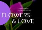 Flowers & Love Фото №1