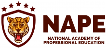 НАПО (Национальная Академия Профессионального Образования)
